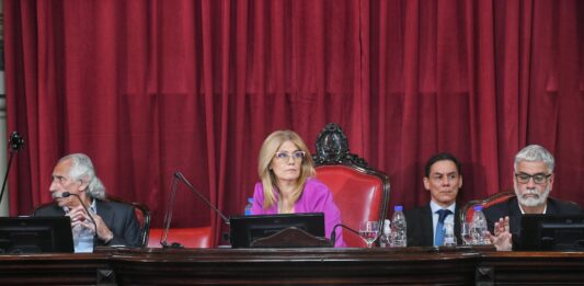 Magario prometió garantizar ciertos niveles de actividad en la Legislatura bonaerense y anticipó que la tarea va a ser “generar leyes de protección”.