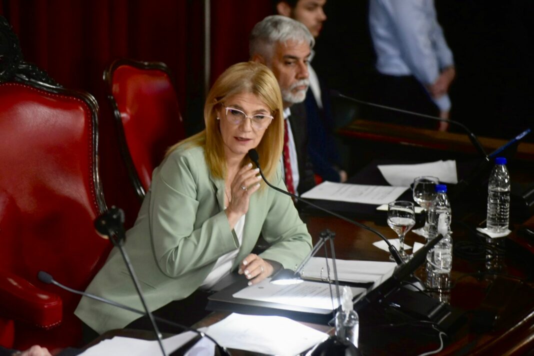 La vicegobernadora bonaerense cuestionó la apertura para importación de alimentos y advirtió que sólo beneficia a empresarios.