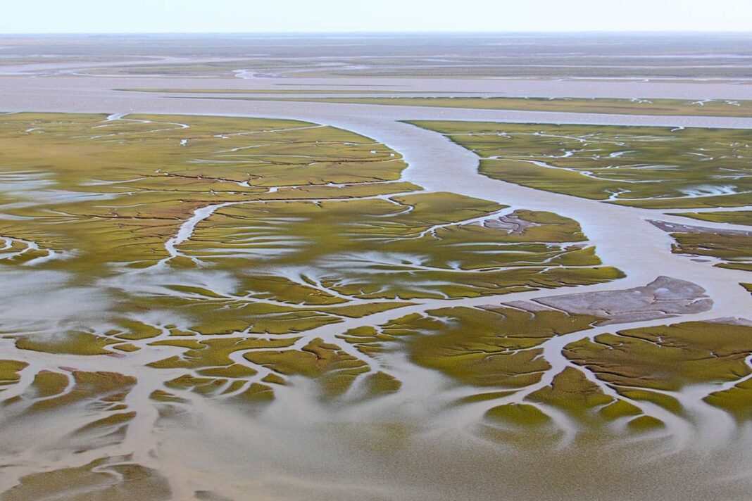 derrame de petroleo Bahía Blanca
