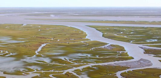 derrame de petroleo Bahía Blanca
