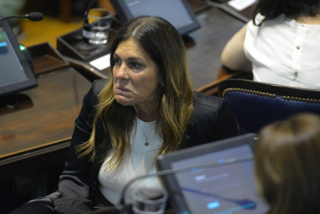 La diputada bonaerense del PRO, Florencia Retamoso, presentó un proyecto de declaración para repudiar el paro nacional de la CGT.