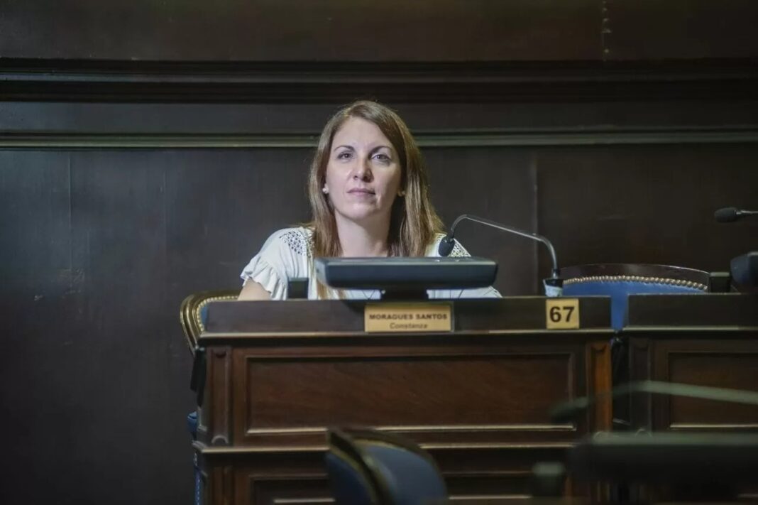 La vicepresidente del bloque Libertad por Siempre, Constanza Moragues, defendió la reforma de la ley de salud mental.