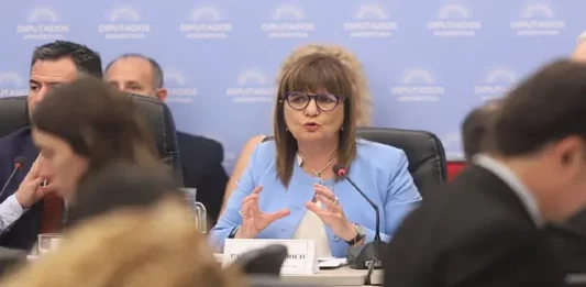 En el segundo plenario de comisiones de la Cámara de Diputados, expusieron el ministro de Interior, Guillermo Francos, y la titular de la cartera de Seguridad, Patricia Bullrich.