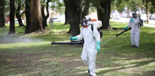 La Municipalidad de La Plata repartirá más de 300 litros de repelentes contra mosquitos de producción propia.