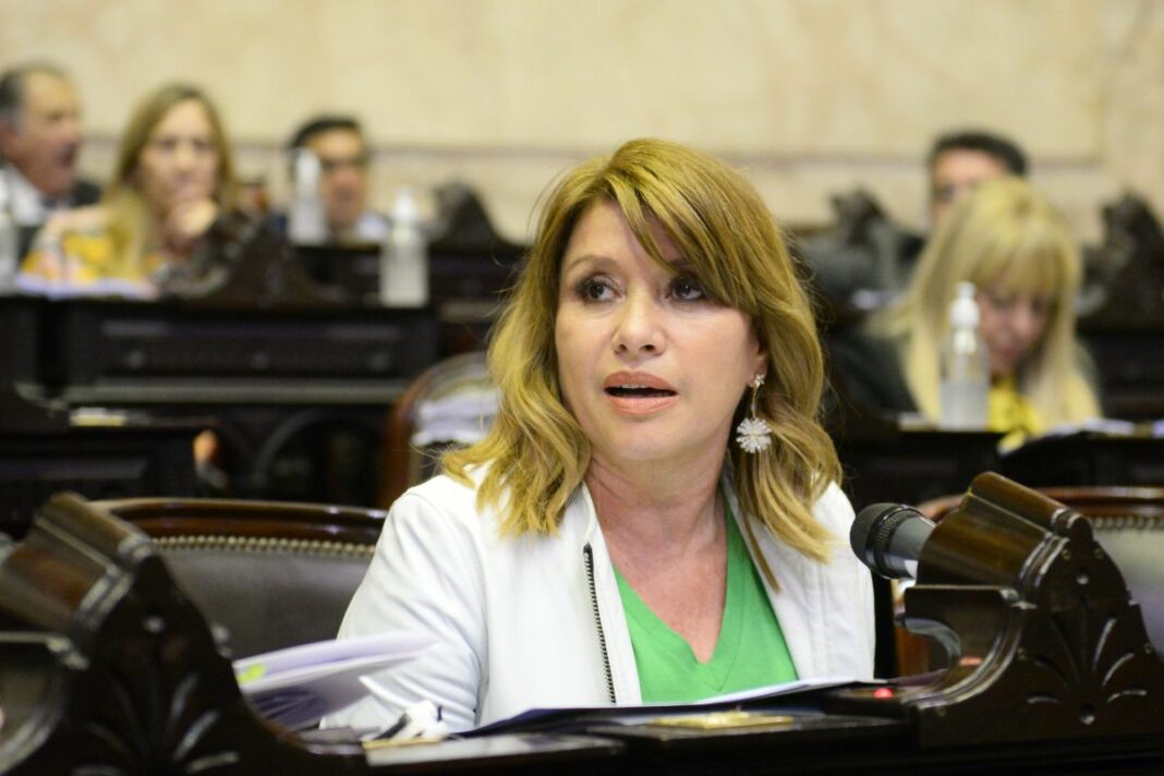Mónica Litza presentó un proyecto de ley para que los Diputados exijan a Milei que destine presupuesto para las universidades.