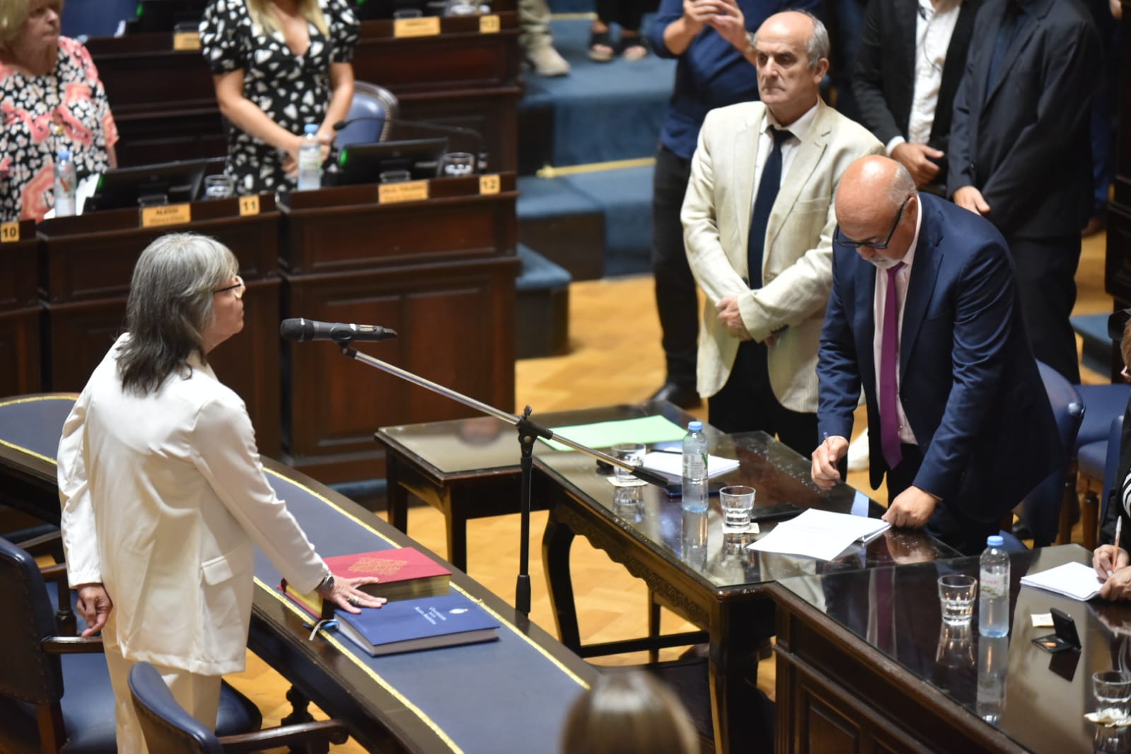 La diputada bonaerense, María Belén Malaisi, jurando este mediodía en la Cámara baja provincial.