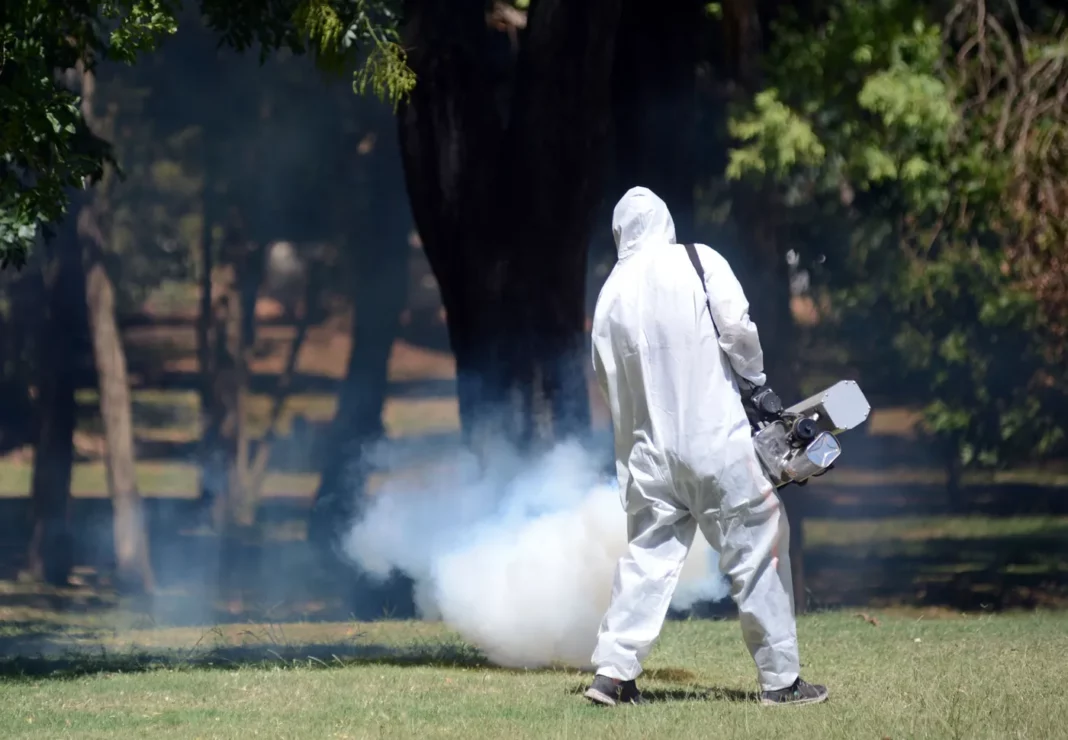 dengue