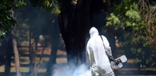 dengue