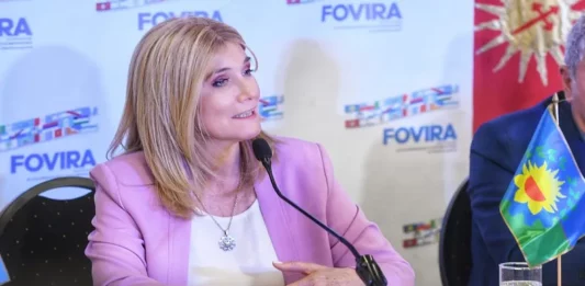 magario vicegobernadores