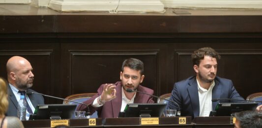 diputados de La Libertad Avanza