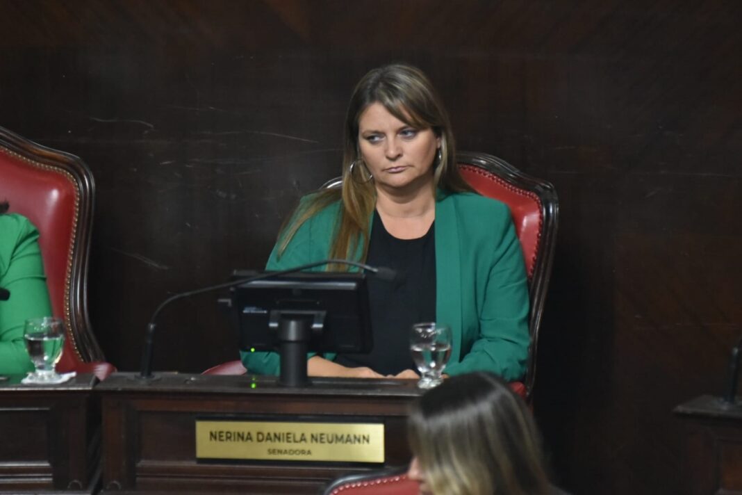 neumann-alimentario-escolar
