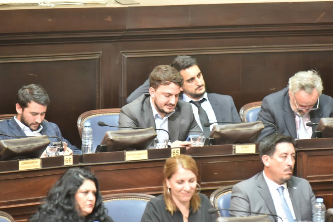 Los legisladores bonaerenses libertarios pidieron “memoria completa” y le respondieron a Estela de Carlotto.