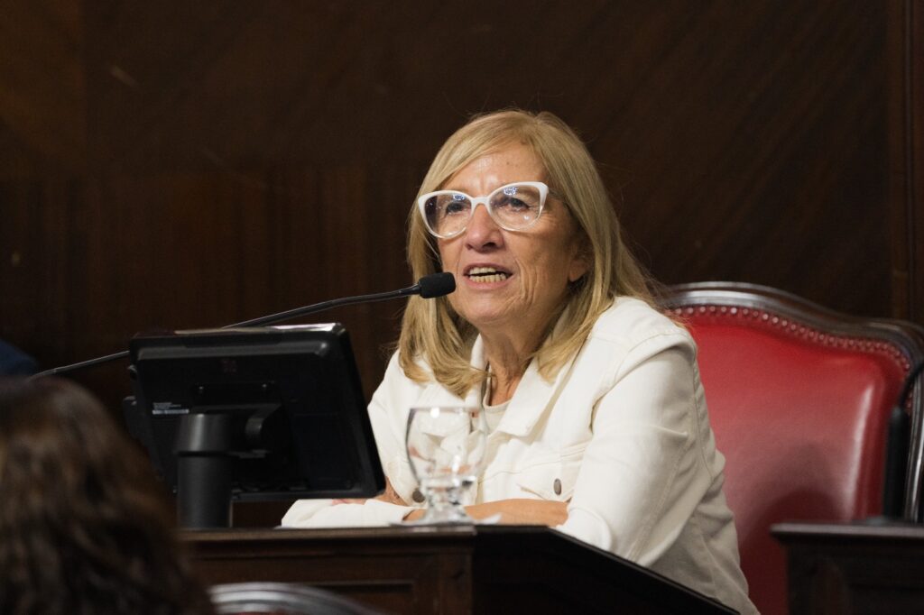 En el marco del 8M, la senadora María Rosa Martínez pide crear un Plan Provincial Integral a fin de integrar, articular las políticas de cuidado existentes en la provincia de Buenos Aires.