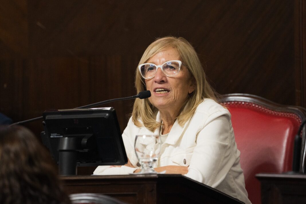 En el marco del 8M, la senadora María Rosa Martínez pide crear un Plan Provincial Integral a fin de integrar, articular las políticas de cuidado existentes en la provincia de Buenos Aires.