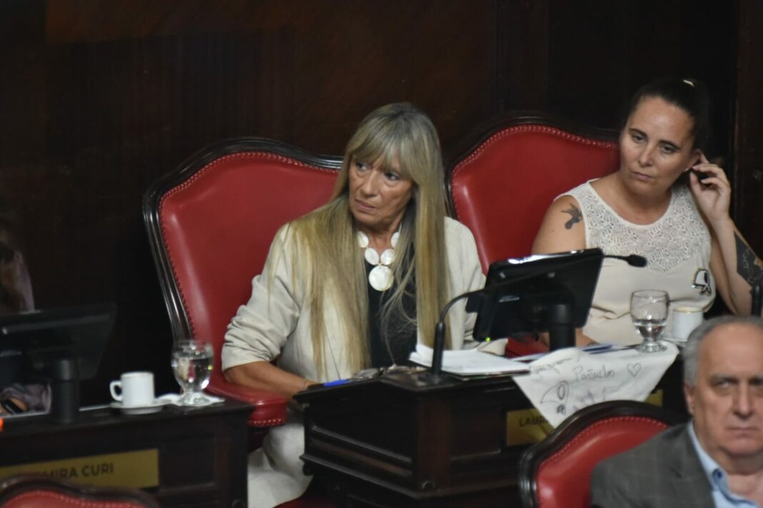La senadora Laura Clark repudió los cambios a la Ley de Identidad de Género por parte de la administración nacional. “Es una violanción a los Derechos Humanos”, afirmó.