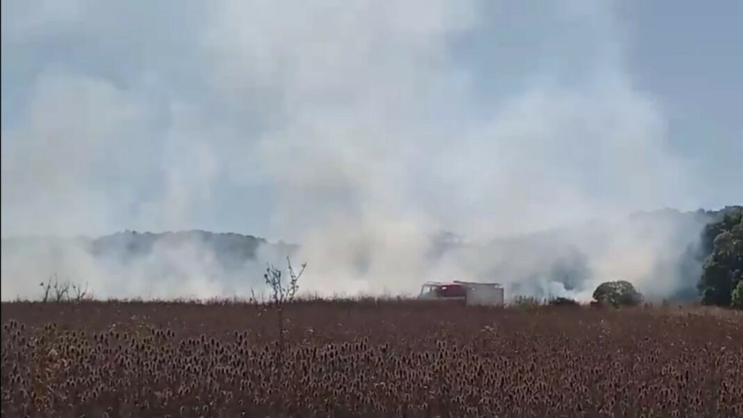 Goncalvez confirmó el incendio forestal en la reserva de Laguna de los Padres, e informó que le pidieron colaboración a la provincia de Buenos Aires.