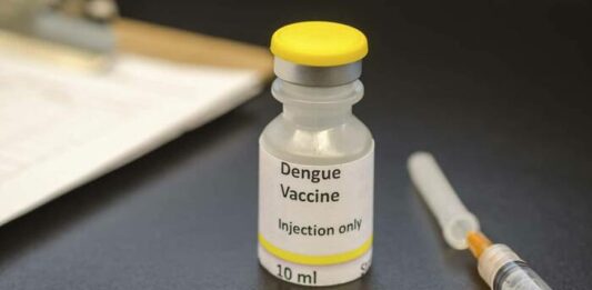 La senadora de UCR-Cambio Federal, Eugenia Gil, presentó un proyecto en la Legislatura bonaerense para decretar como obligatoria la vacuna contra el dengue.