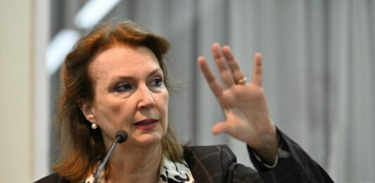 Diana Mondino reclamará la soberanía de Argentina sobre las Islas Malvinas en el Comité de Descolonización de la ONU.