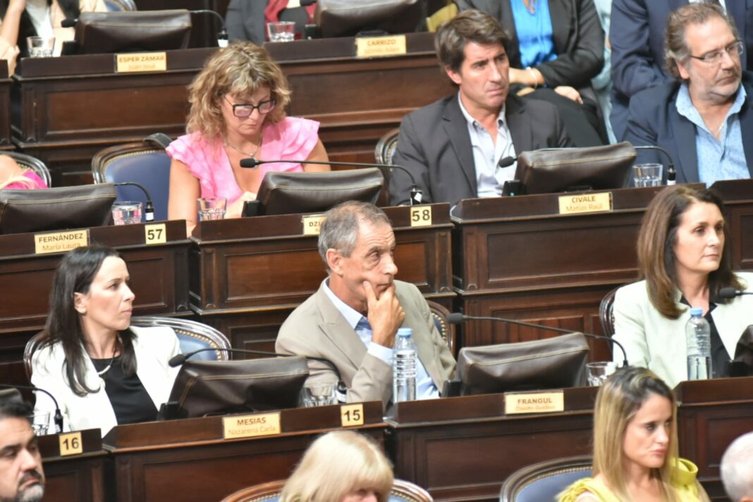 Frangul discurso de Kicillof