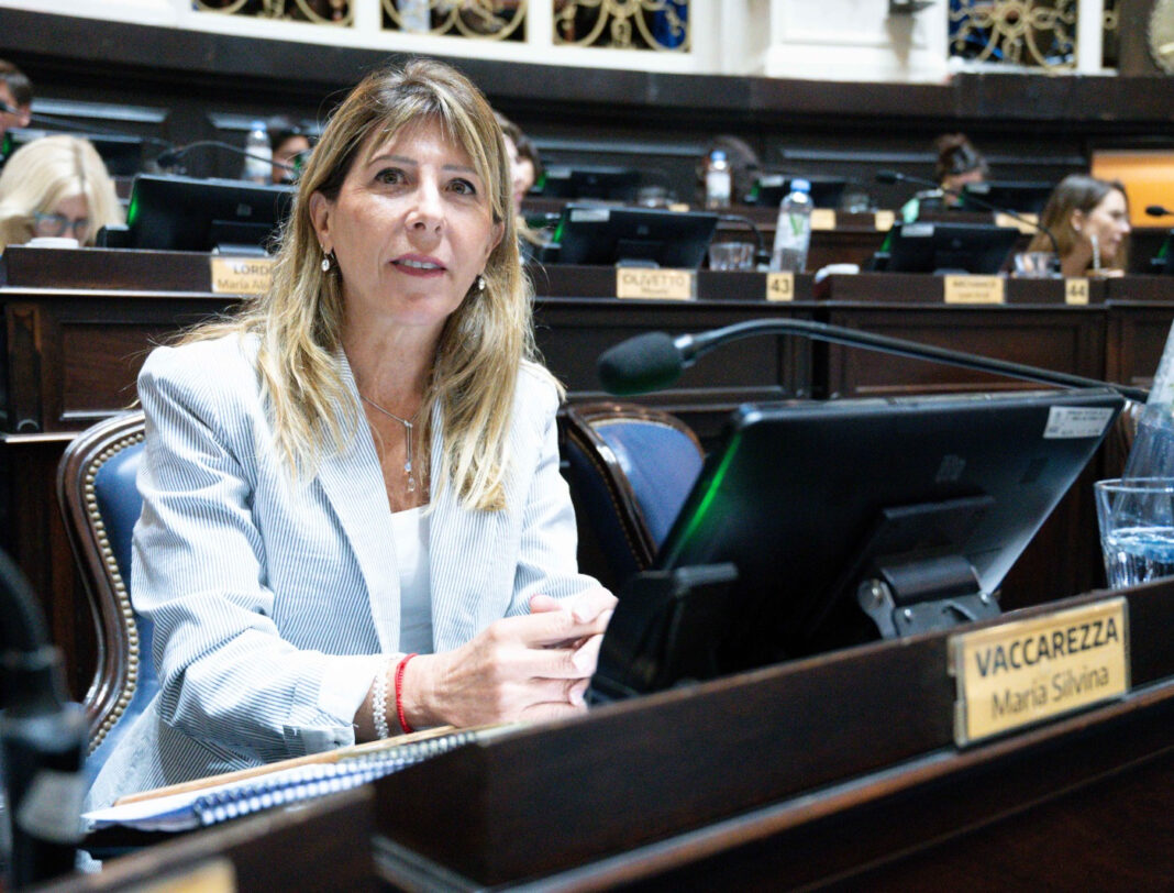 La diputada, Silvina Vaccarezza, criticó a Kicillof por no referirse 