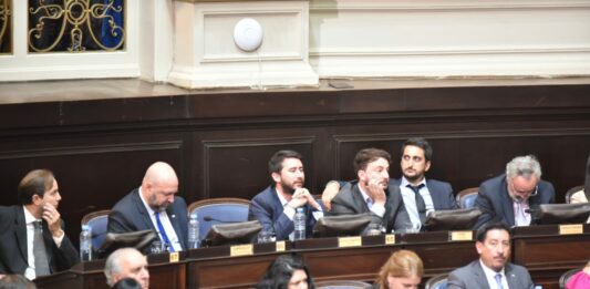 Legisladores bonaerenses de La Libertad Avanza salieron a felicitar a Milei y celebraron la media sanción de la Ley Bases.