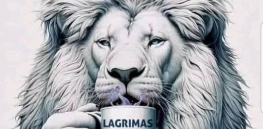 Milei rompió el silencio en redes sociales y posteó una ilustración de un león como respuesta a la marcha universitaria.