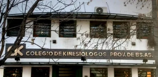 El Colegio de Kinesiólogos bonaerense advierte que la situación es crítica. “Atravesamos una tormenta”, dijo su titular, Pablo Dolce.