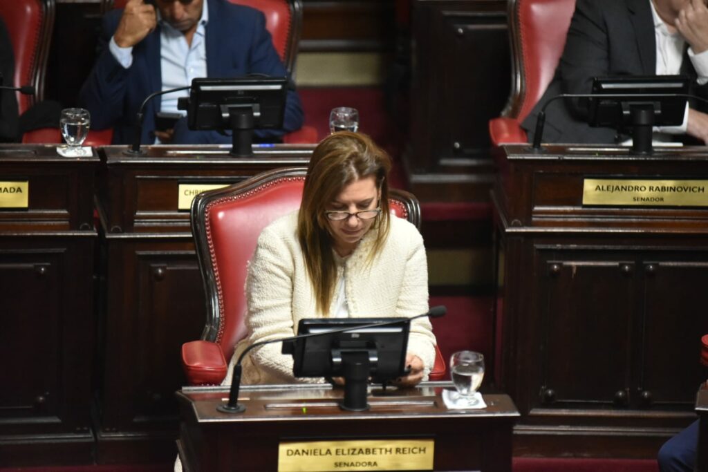Senadora bonaerense de la Primera sección electoral, Daniela Reich.