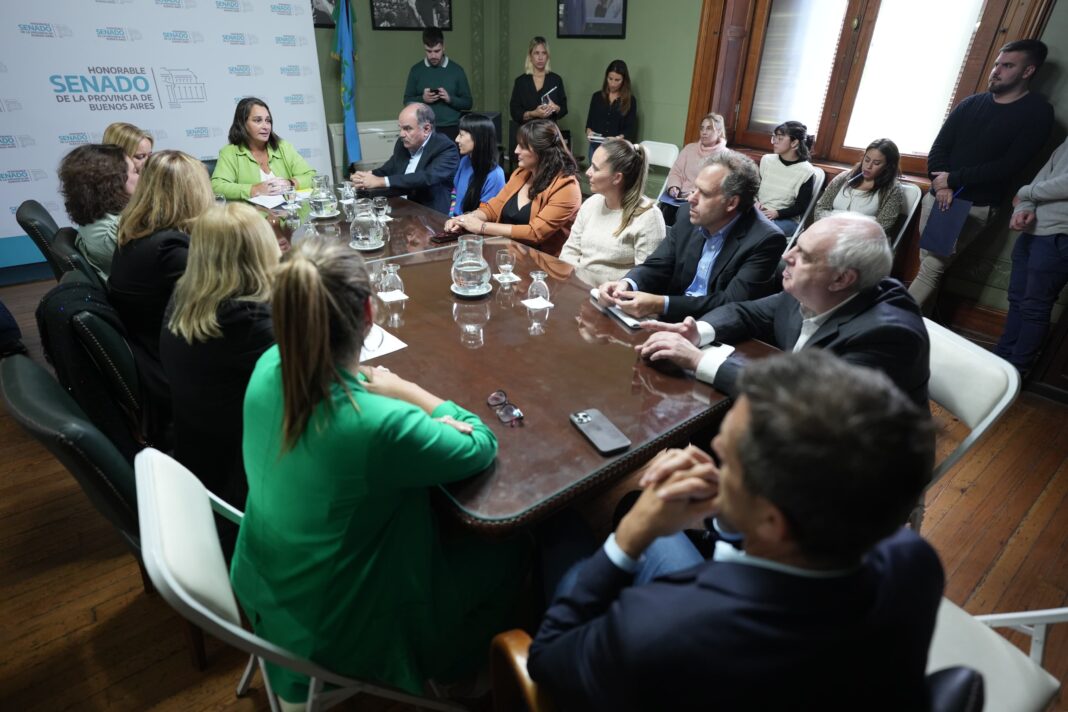 La senadora del bloque UCR + Cambio Federal, Lorena Mandagarán, adelantó la prioridad de trabajo de la comisión.