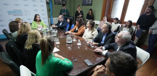 La senadora del bloque UCR + Cambio Federal, Lorena Mandagarán, adelantó la prioridad de trabajo de la comisión.