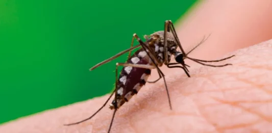 El ministerio de Salud bonaerense, a cargo de Nicolás Kreplak, informó que en la última semana se registraron más de 78 mil casos de dengue en la provincia de Buenos Aires.