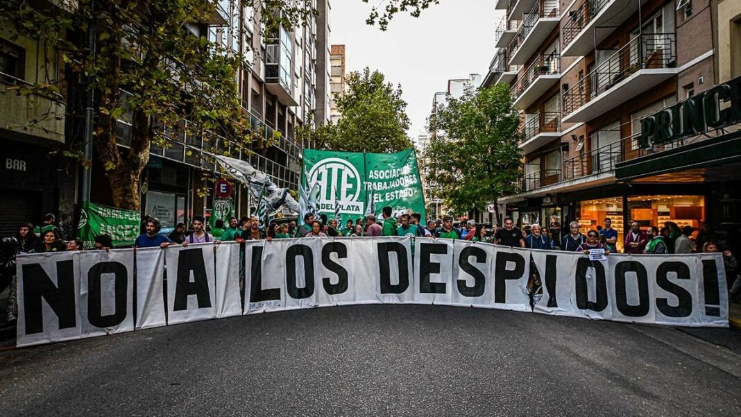 Empleados despedidos del Conicet, Anses y otras dependencias nacionales con sede en La Plata realizan una caravana por los despidos masivos.