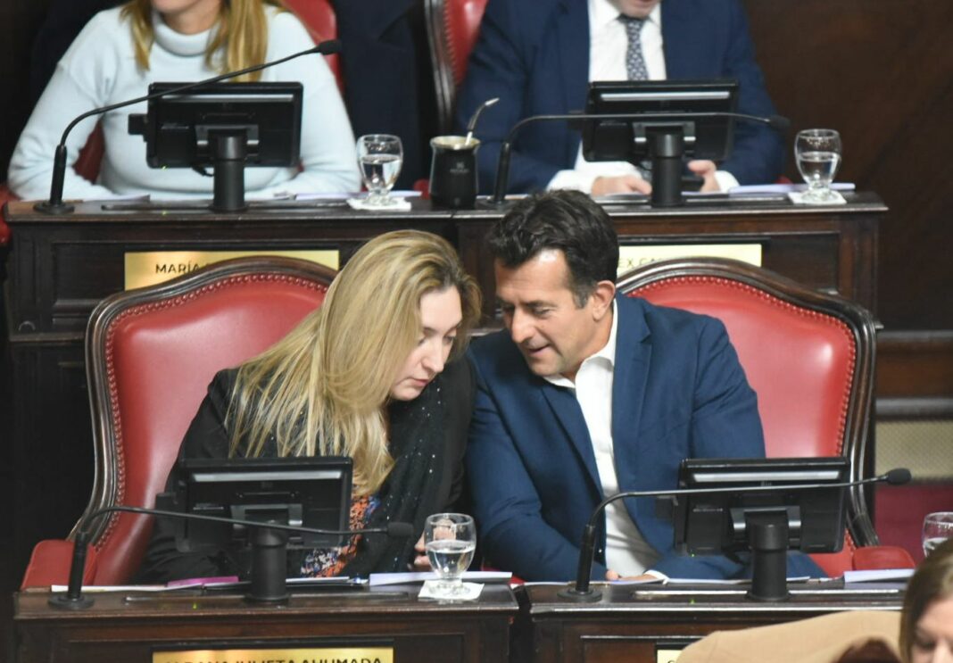 La senadora provincia, Aldana Ahumada, remarcó que la renovación de autoridades del PRO Bonaerense permitirá 