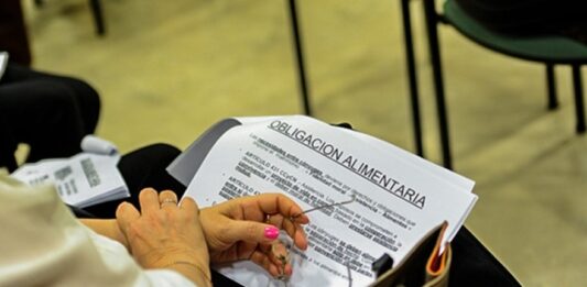 Deudores alimentarios