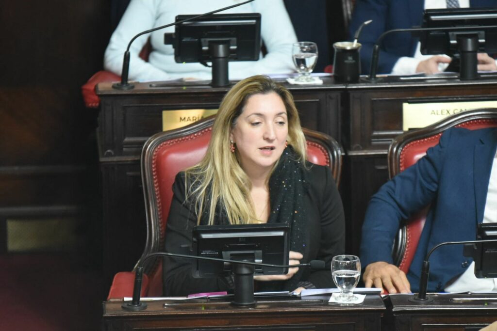 La senadora Aldana Ahumada, manifestó la necesidad de “una nueva representatividad” en el PRO bonaerense.