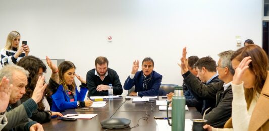 Uno de los proyectos de empresas estatales de Kreplak recibió el segundo visto bueno en la Cámara de Diputados bonaerense.