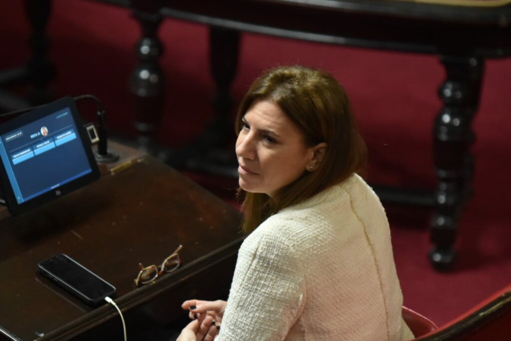La senadora y actual presidenta del PRO, Daniela Reich.