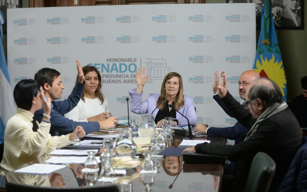 Los senadores bonaerenses que integran la comisión de Usuarios y Consumidores emitieron dictamen favorable a cuatro proyectos de ley.