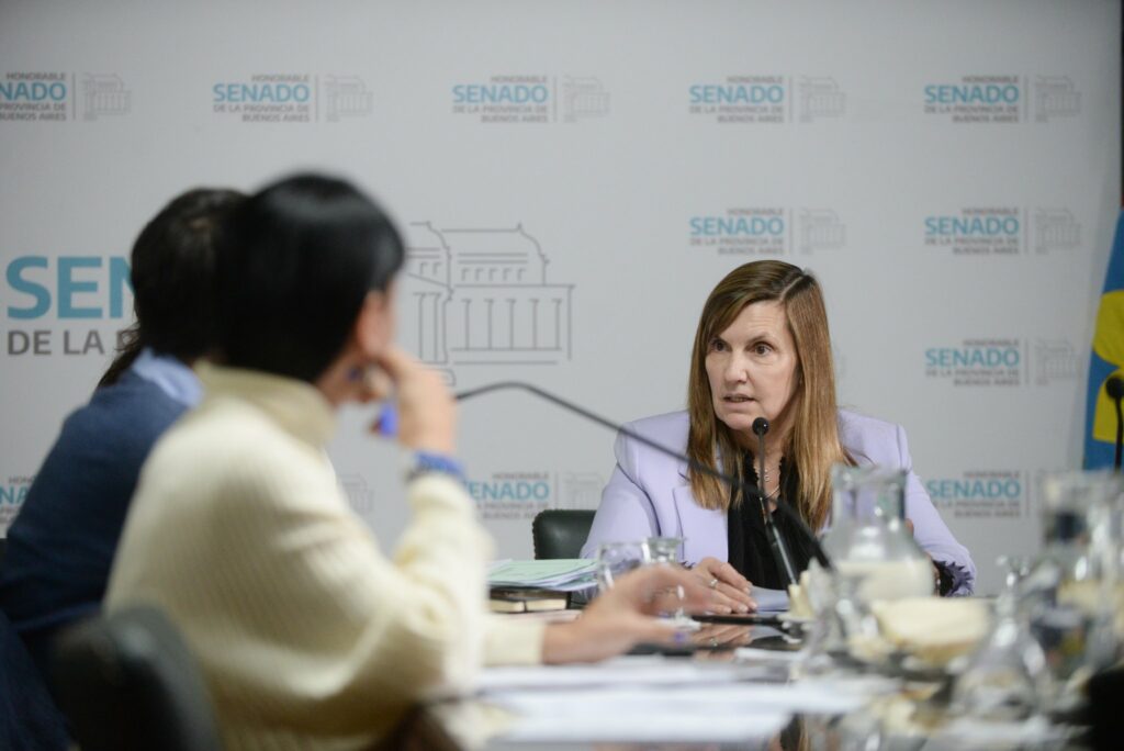 La senadora Gabriela Demaría detalló los alcances de las medidas que aprobó la comisión de Usuarios y Consumidores.