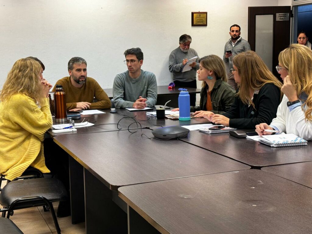 Diputados: Unión por la Patria logró dictaminar uno de los proyectos de empresas estatales de Kreplak. 