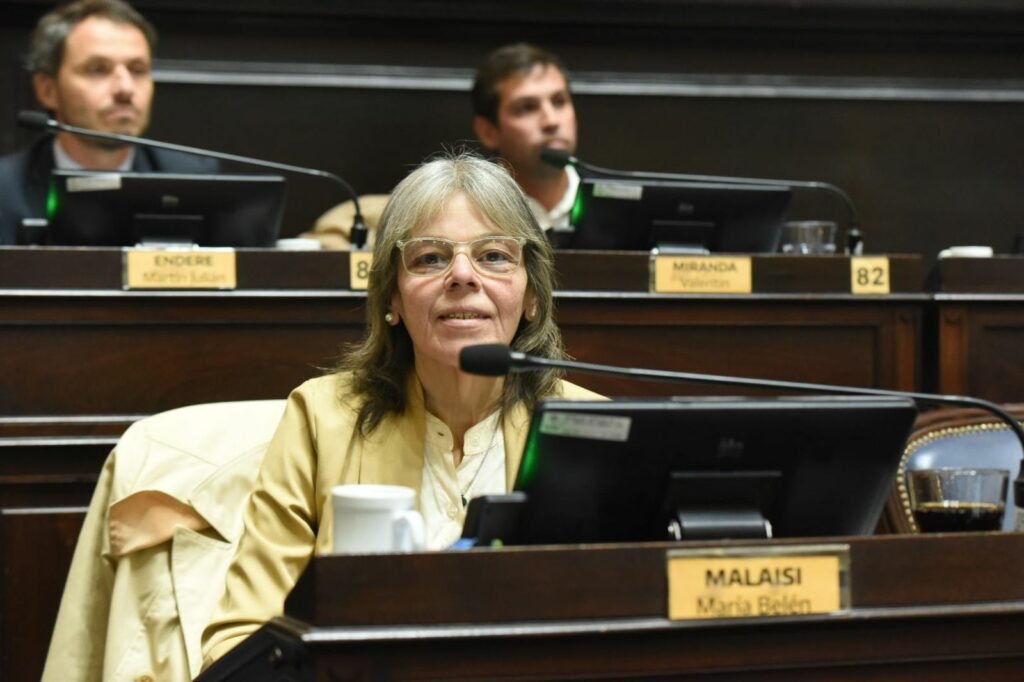 La diputada Belén Malaisi pidió por los fondos para el Plan Nacional de Alfabetización durante la última sesión.