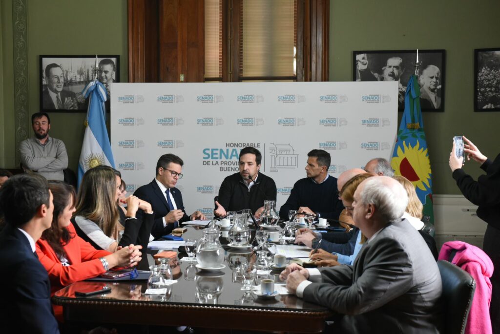 Kreplak defendió los proyectos de empresas estatales ante senadores de la oposición. 