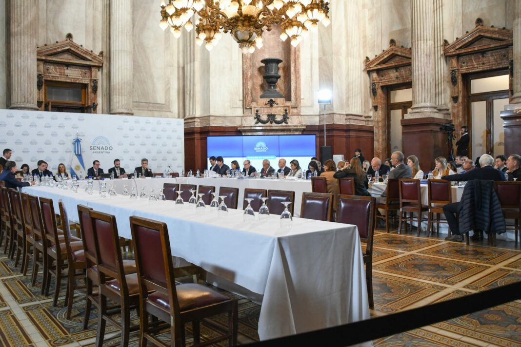 En rechazo a la Ley Bases, los senadores de Unión por la Patria se sumaron al paro. Qué dijo el oficialismo.