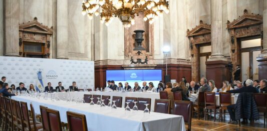 En rechazo a la Ley Bases, los senadores de Unión por la Patria se sumaron al paro. Qué dijo el oficialismo.