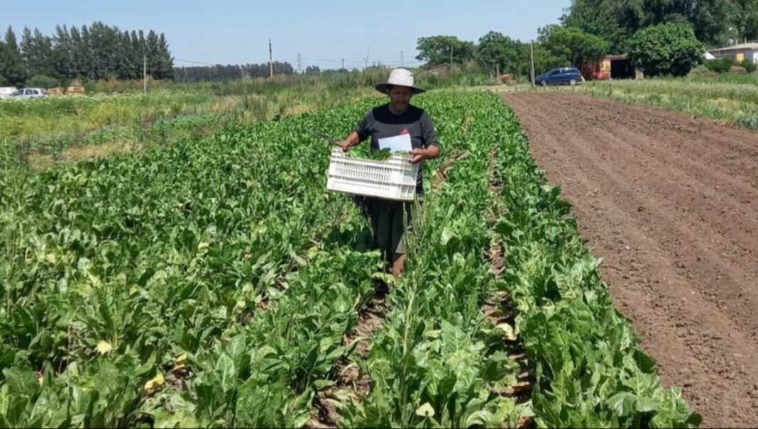 El senador Pedro Borgini presentó un proyecto en la Legislatura bonaerense para crear un Consejo Consultivo sobre el cordón frutihortícola con el objetivo de promover el crecimiento sostenible del sector.