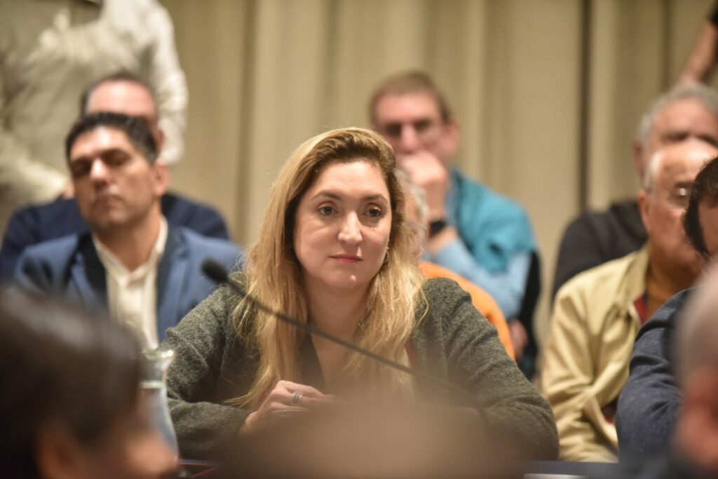 La senadora del PRO Aldana Ahumada ratificó su rechazo al proyecto de indemnizaciones laborales.