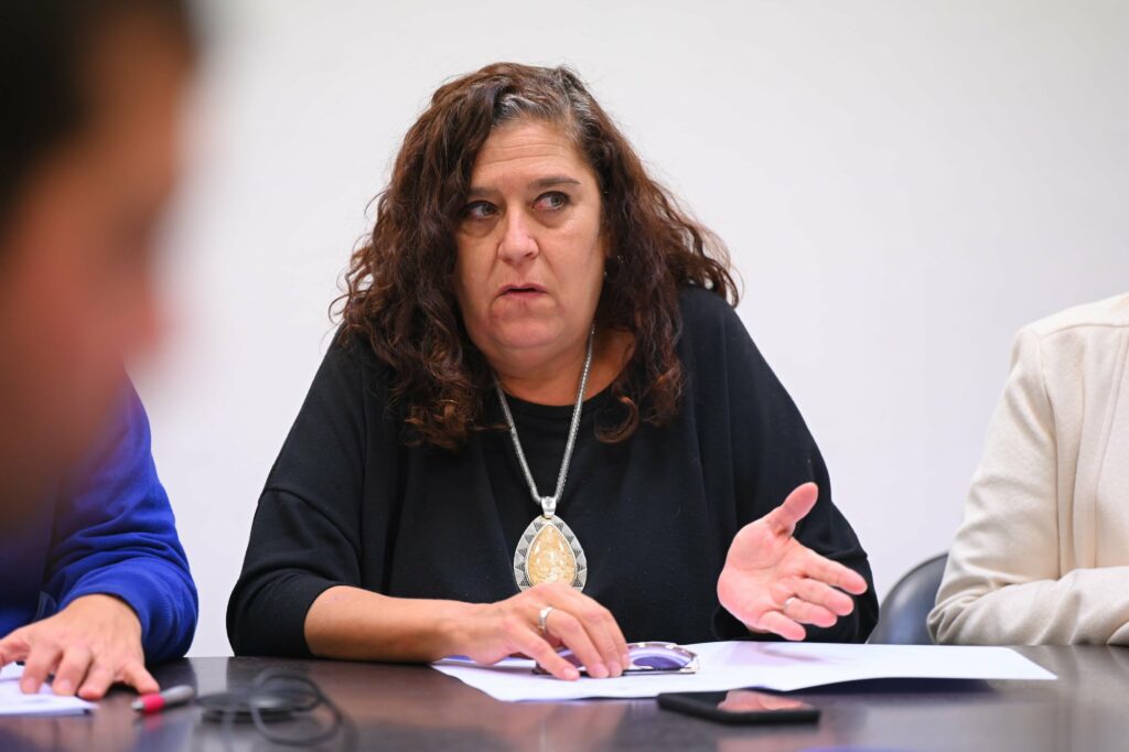 La diputada Susana González pide que los docentes extracurriculares puedan regularizar sus aportes en el IPS.