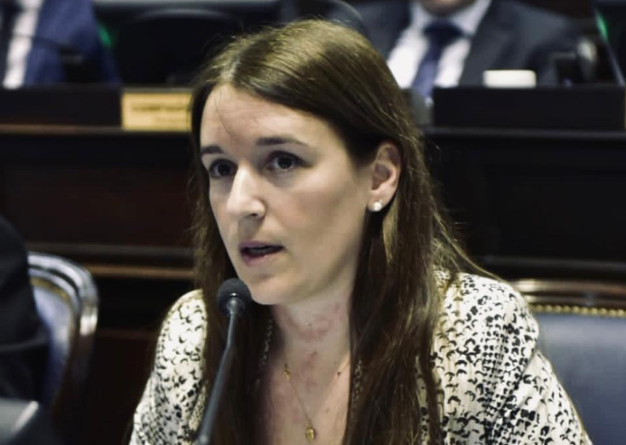 La diputada Abigail Gómez presentó un proyecto de ley para modificar el CUD.