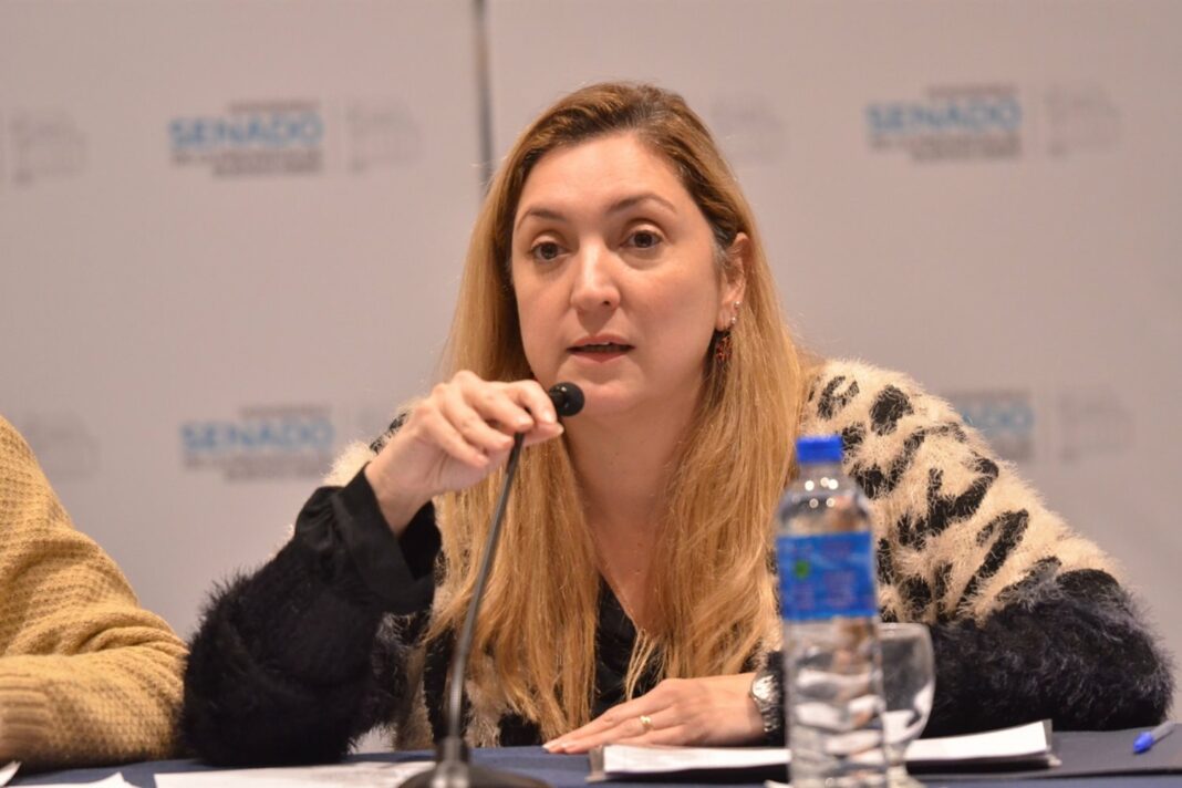 La senadora del PRO, Aldana Ahumada, cuestionó la iniciativa del Ejecutivo bonaerense de eliminar la repitencia en las escuelas secundarias.