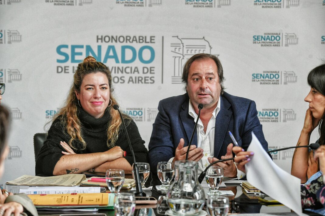 La comisión de Legislación General del Senado bonaerense comenzó a tratar el proyecto enviado por el gobernador Axel Kicillof para para facilitar el acceso a la cuota alimentaria. De qué trata.